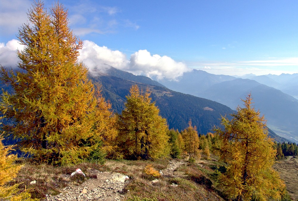 herbst-farbenspiel