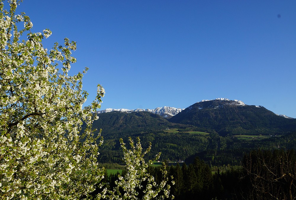 spring-panorama